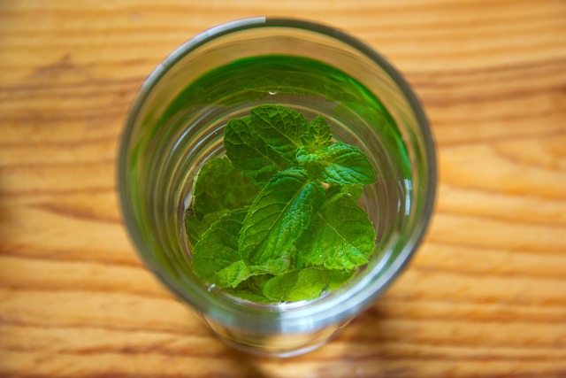 Agua de hierbas argentina — receta argentina