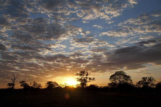 Pantanal (Brasil) — destino turístico