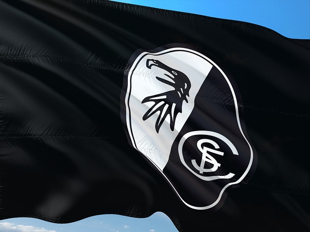 Bundesliga — liga de fútbol