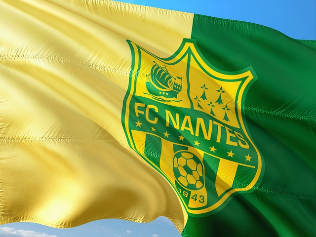 Ligue 1 — liga de fútbol