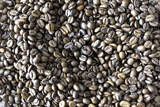 Foto de Gallo pinto
