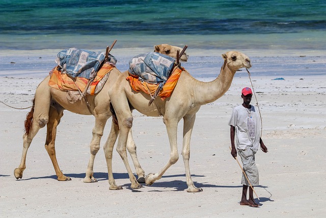 Diani Beach — Kenia — destino turístico