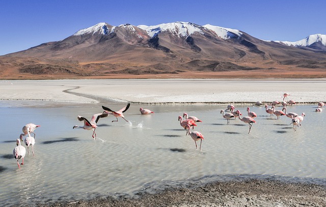 Potosí — Bolivia — destino turístico