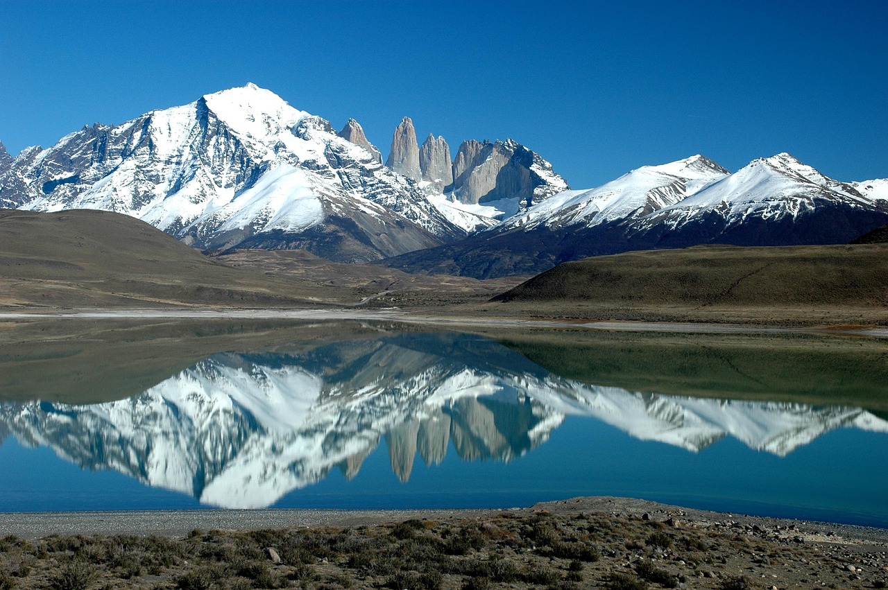 Patagonia: una fundación busca repoblar la región