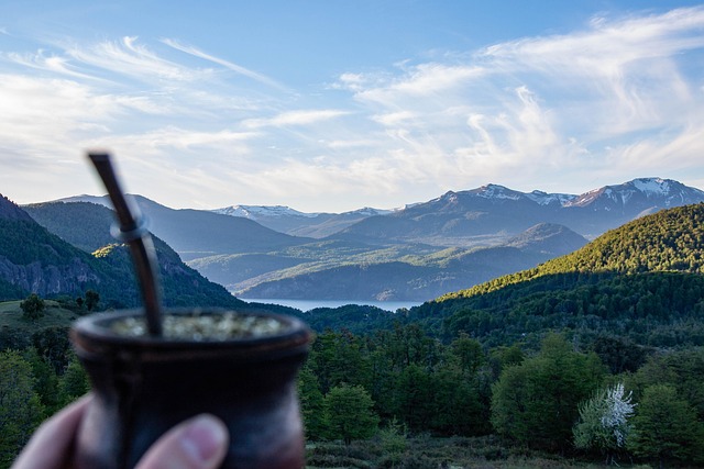 Tereré — Recetas de la cultura argentina