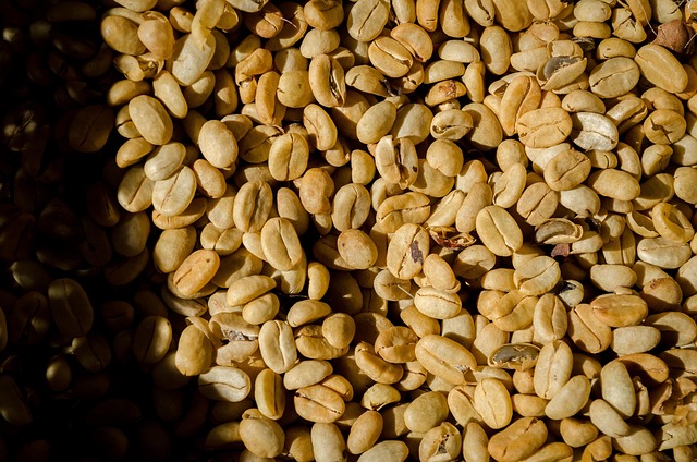 Colombia — Medellín y el Café — destino turístico