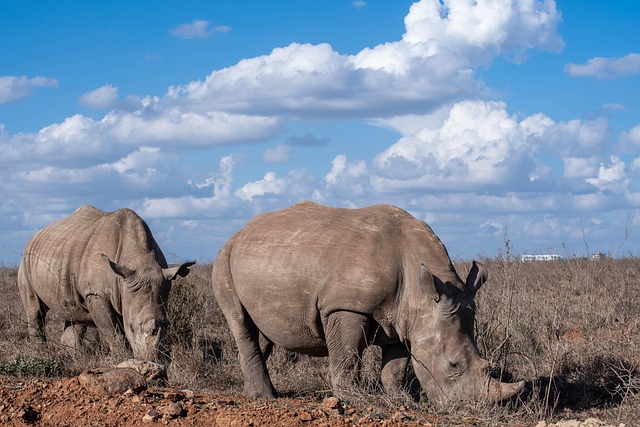 Nairobi (Kenia) — destino turístico