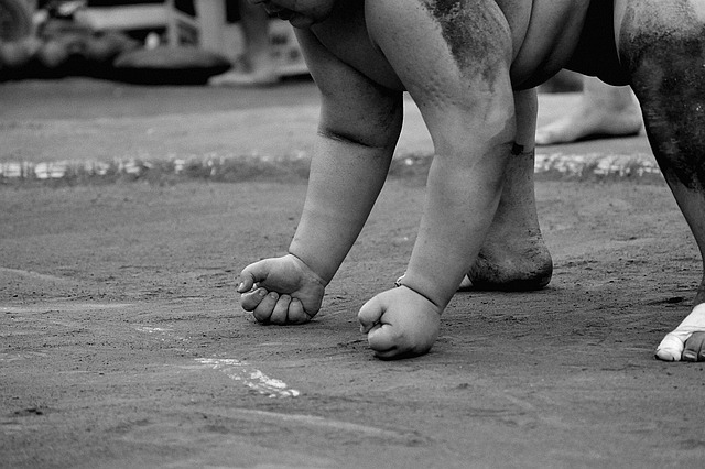 Foto de Sumo