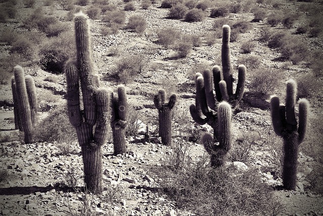 Quebrada de Humahuaca — destino turístico